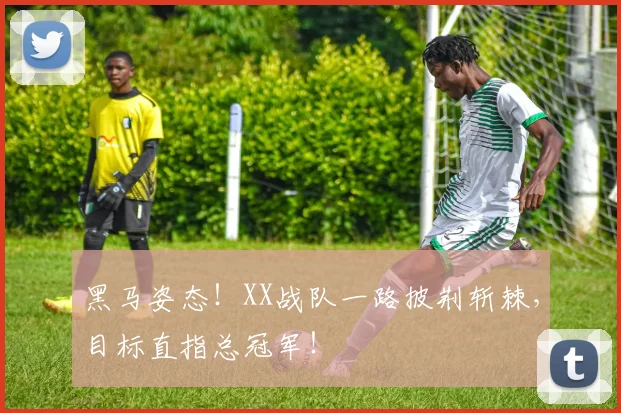 黑马姿态！XX战队一路披荆斩棘，目标直指总冠军！